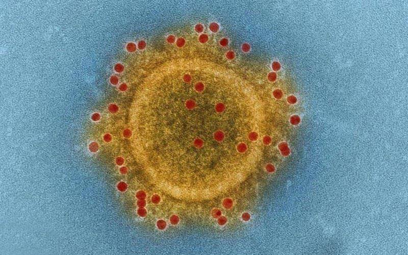 کرونا وائرس،ہلاکتوں اور نئے کیسز کے اندراج میں کمی لیکن وائرس پر قابو پانے کے حوالے سے ماہرین کیا کہتے ہیں؟