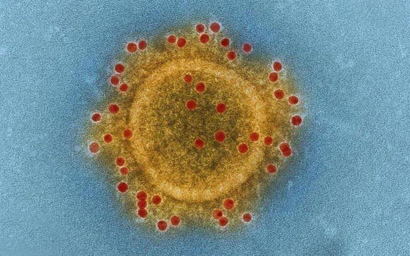پاکستان میں کرونا وائرس کا مشتبہ کیس سامنے آگیا،مبینہ مریض کا تعلق کس شہر سے ہے اور اب وہ کہاں ہے؟ خبرآگئی 