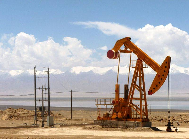 تیل اور گیس کی تلاش کیلئے وزارت پٹرولیم نے جنوری 2020 کی رپورٹ جاری کردی