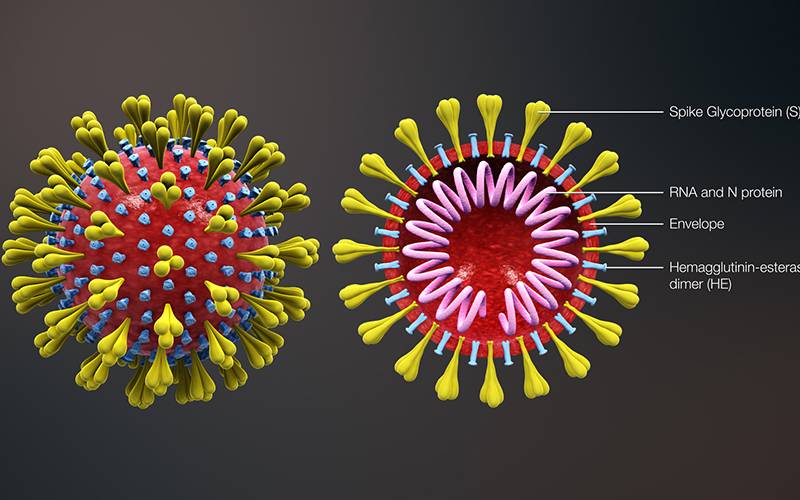 آپ کرونا وائرس سے کیسے بچ سکتے ہیں؟ ماہرین کے مشورے جانئے