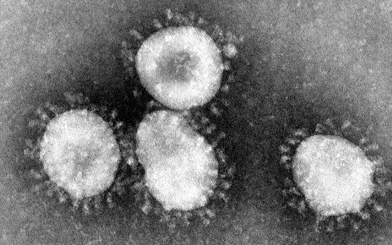 کورونا وائرس کے اندرون سندھ تیزی سے پھیلنے کا انکشاف