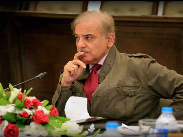 شہبازشریف نے مسافر طیارے حادثے پر اظہار افسوس کرتے ہوئے حکومت سے بڑا مطالبہ کر دیا