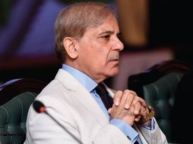 پٹرولیم مصنوعات کی قیمتوں میں ہوشربا اضافہ مسترد، فیصلہ فوری واپس لینے کا مطالبہ،شہباز شریف میدان میں آگئے