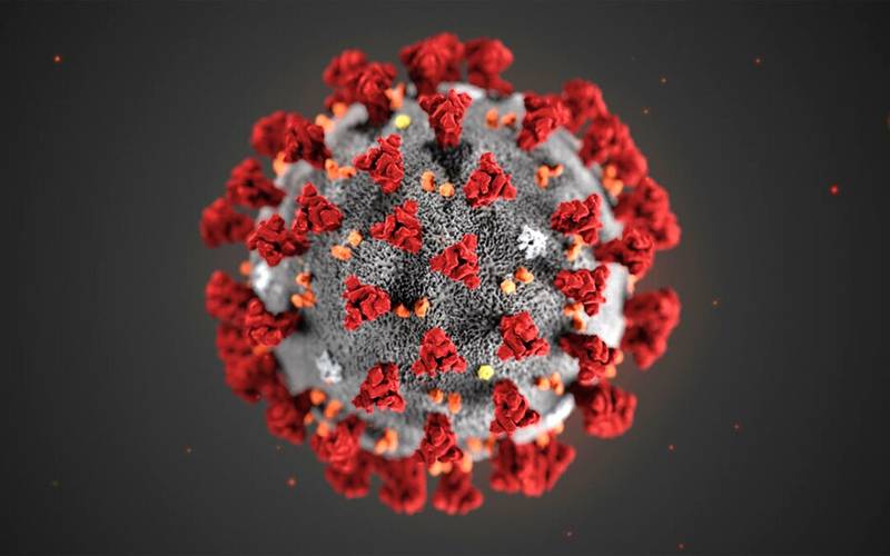 دنیا بھرمیں نوول کرونا وائرس کے مصدقہ کیسز کی تعداد 2کروڑ52لاکھ 22ہزار709ہوگئی