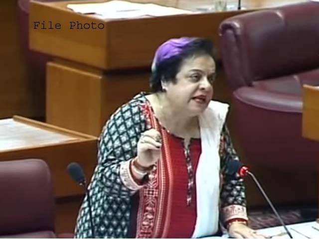 مریم نواز کو عمران خان پر غیرملکی فنڈنگ کا الزام لگاتے شرم آنی چاہیے: شیریں مزاری