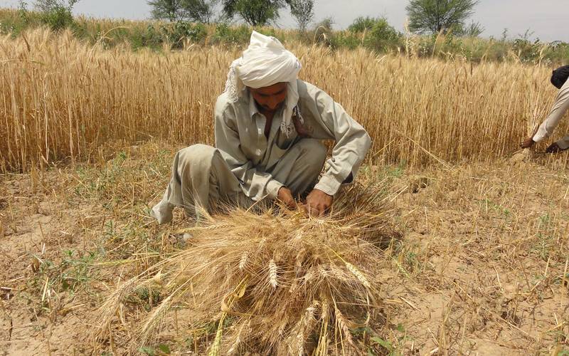 پاکستان میں بھی کسان ٹریکٹر لے کر سڑکوں پر آگئے، اتنے افراد کیخلاف مقدمہ درج کہ یقین کرنا مشکل