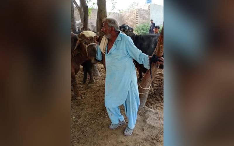 مظفر گڑھ:کھیتوں میں بھینس گھسنے پر زمیندار نے بزرگ شہری کو درختوں سے باندھ دیا