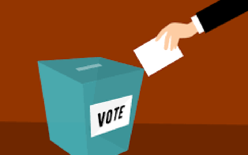 ووٹرز گھروں سے نکلیں ، ڈسکہ میں مساجد سے اعلانات