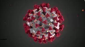 کورونا وائرس مزید 137زندگیاں نگل گیا ، 5ہزار 445 نئے مریض سامنے آگئے 