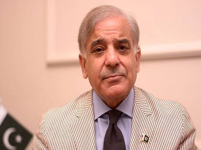 شہباز شریف کی اکنامک ایڈوائزری کونسل کو حکومتی معاشی کارکردگی بے نقاب کرنے کی ہدایت