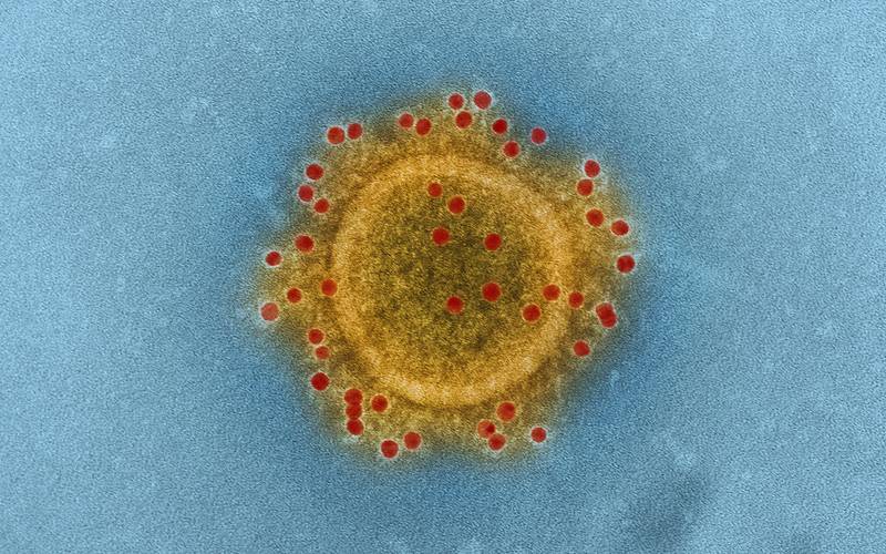 کورونا وائرس کی ایک اور خطرناک قسم دریافت ،یہ کس ملک میں سامنے آئی ؟ تشویشناک خبر آگئی