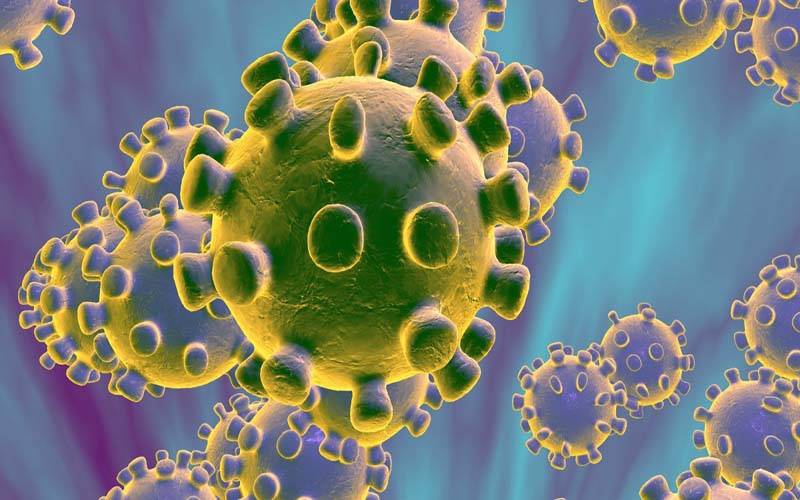 مہلک کورونا وائرس مزید 20زندگیاں نگل گیا ، 471نئے کیسز رپورٹ