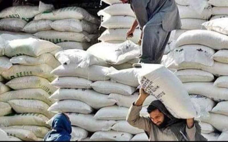  پنجاب میں گندم اور آٹے کی قلت بارے پھیلی خبریں ، محکمہ خوراک نے اصل حقیقت بتا دی 