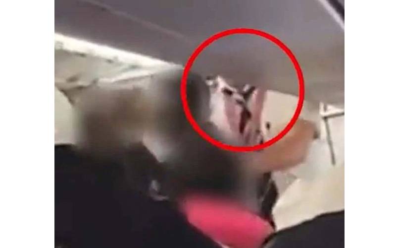 شراب کے نشے میں دھت 2مسافروں نے دوران پرواز پائلٹ کو ہی تشدد کا نشانہ بنا ڈالا