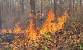 خیبرپختونخوا ,صرف1 ماہ میں جنگلات میں آگ لگنے کے 402 واقعات، تحقیقات شروع