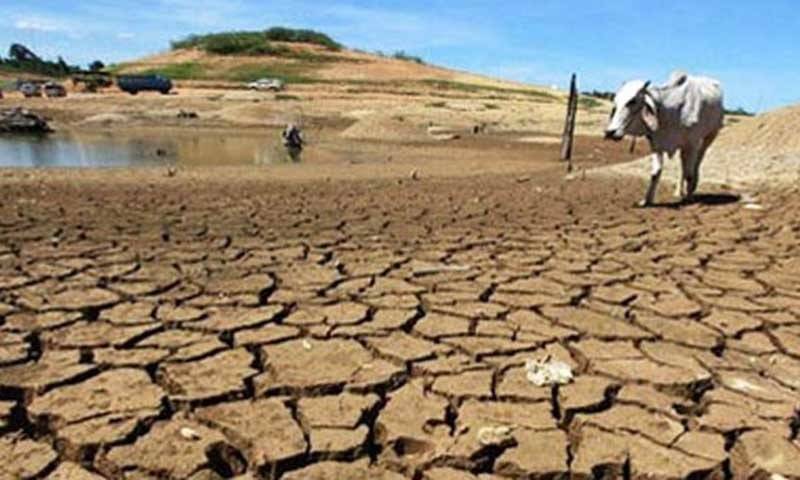 پانی کی قدر کریں ، آج دنیا بھر میں خشک سالی سے نمٹنے کا دن منایا جا رہا ہے