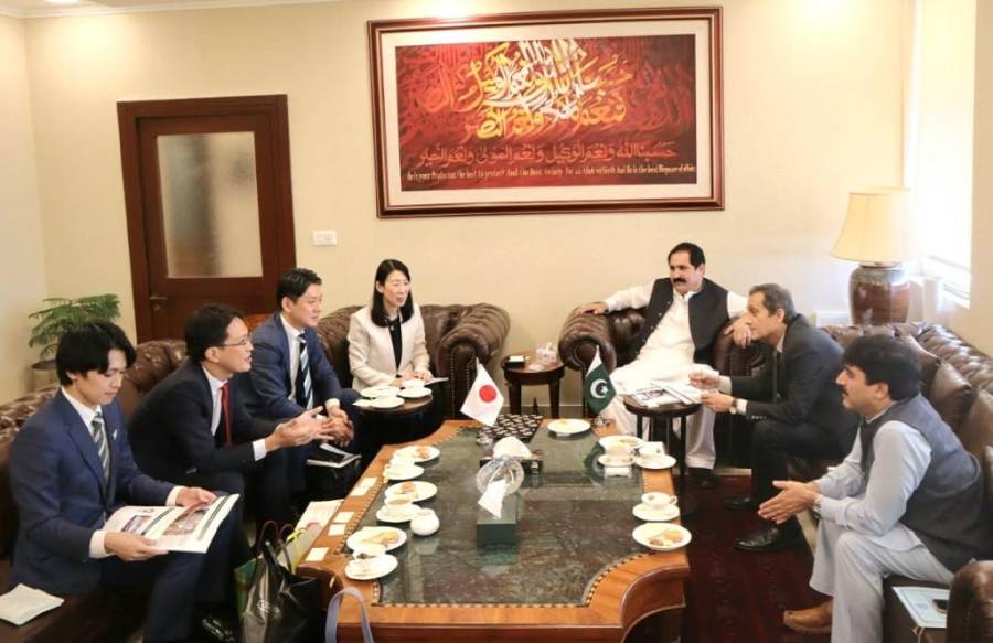 وفاقی وزیر برائے سمندرپار پاکستانی سے جاپانی کمپنی کی سی ای او کی ملاقات