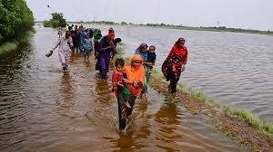   سیلاب زدہ علاقوں میں غذائی قلت، مچھروں اور دیمک کا حملہ، کچے گھر مکمل تباہ، یونیسف کی وراننگ جاری