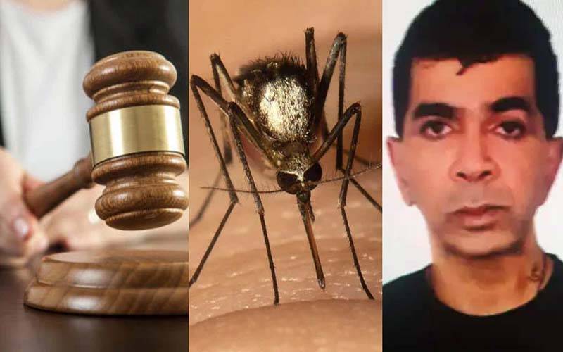 بھارت: ملزم مرے ہوئے مچھروں سے بھری بوتل عدالت کیوں لایا؟