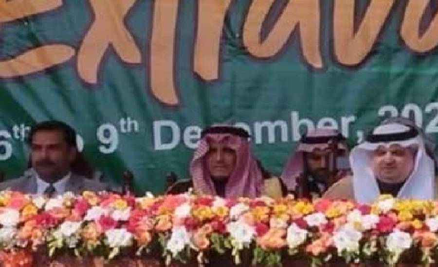 پاکستان کو سیاسی استحکام کی ضرورت ہے ، سعودی سفیر نواف المالکی 