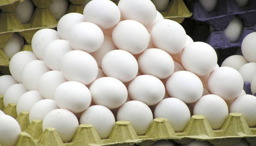 انڈوں کا زیادہ استعمال دل کی صحت کے لیے کیسا ہوتا ہے؟ ماہرین نے بتا دیا
