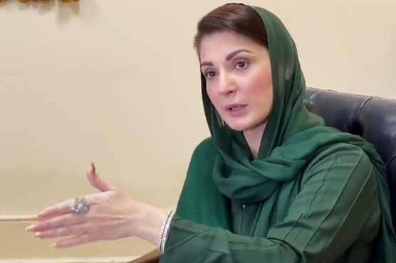 مریم نواز کتنے اثاثوں کی مالک؟ تفصیلات سامنے آ گئیں