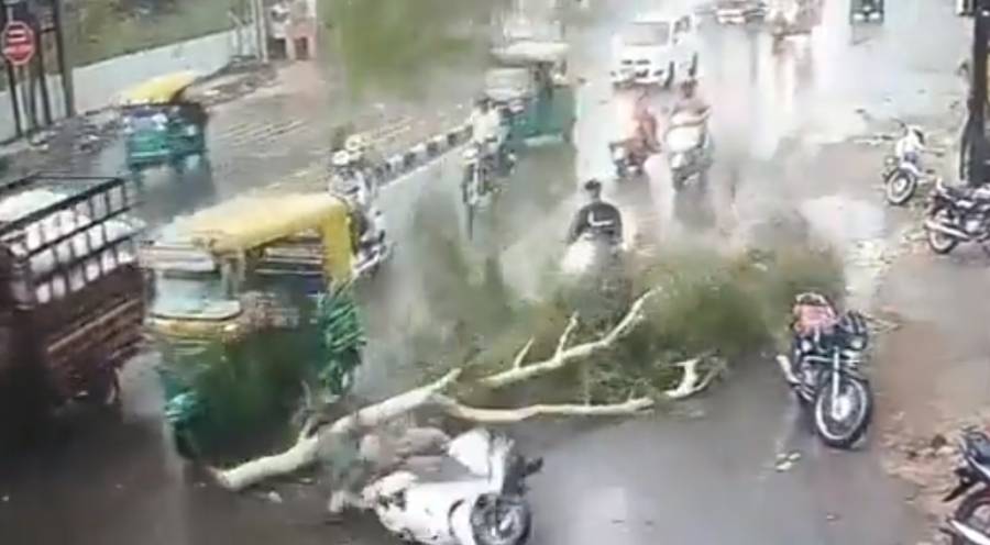 موٹر سائیکل سواروں پر درخت گر گیا، دل دہلا دینے والی ویڈیو سامنے آگئی