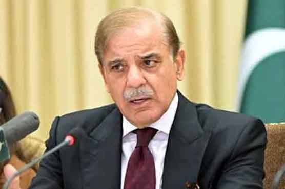 پاک ترکیہ تجارت کا سالانہ حجم 5 ارب ڈالر تک بڑھانے کا ہدف حاصل کیا جا سکتا ہے: وزیراعظم