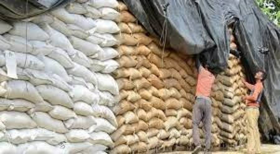 سندھ میں اربوں روپے کی سرکاری گندم چوری ہونے کا انکشاف