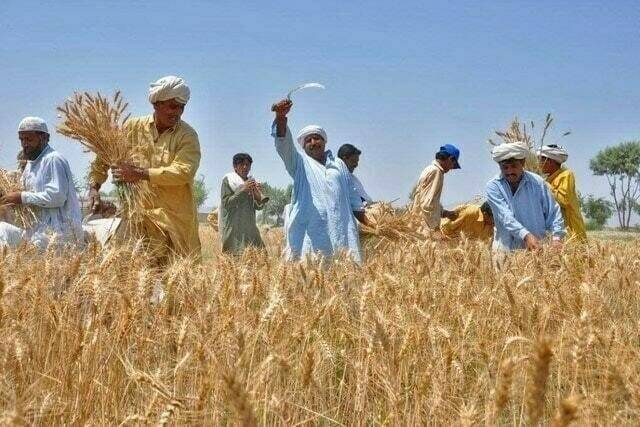 حکومت کا کسانوں کے لیے ٹی وی چینل شروع کرنے کا اعلان 