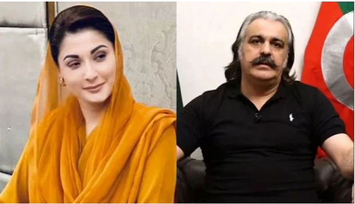 علی امین نے پھر مریم نواز کو نشانے پر لے لیا، عورت کارڈ استعمال کرنے کا الزام