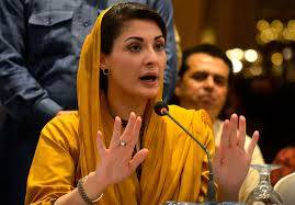 سیاسی مخالفت کی وجہ سے مجھے کردار کشی کا سامنا کرنا پڑا: مریم نواز