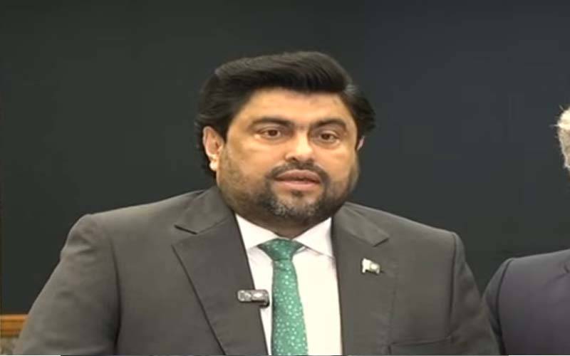 امریکی خاتون کو جھانسہ دینے والے لڑکے کو