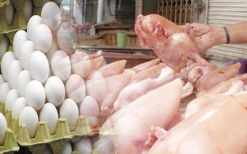 پنجاب بھر میں مرغی کے گوشت کی سرکاری قیمت مقرر نہ کرنے کا فیصلہ مگر کیوں؟