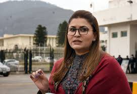 نہریں نکالنے کے منصوبے کیخلاف قرارداد ایجنڈے میں شامل نہ کرنے پر پیپلزپارٹی کا قومی اسمبلی میں احتجاج