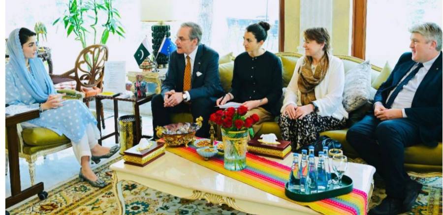 وزیراعلیٰ مریم نواز سے یورپی یونین کے پارلیمانی وفد کی ملاقات، مختلف شعبوں میں سرمایہ کاری کی پیشکش