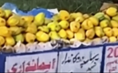 لوگوں کی ایمانداری آزمانے کے لیے چکوال میں دکاندار کے بغیر آموں سے بھری ریڑھی لگادی گئی ، پھر نتیجہ کیا نکلا؟ 