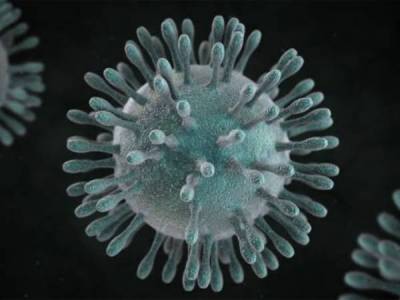حکومت کو اہم کامیابی مل گئی ،پاکستان نے کرونا وائرس کی تشخیص کی قابلیت حاصل کرلی 