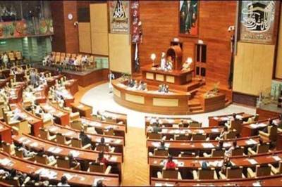 سندھ کا بجٹ پیش، گریڈ 16 تک سرکاری ملازمین کی تنخواہوں میں 35 فیصد، گریڈ 17 سے اوپر 30 فیصد اضافے کا اعلان، پنشن کتنی بڑھائی گئی؟