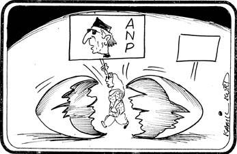 نسیم ولی خان نے ”عوامی نیشنل پارٹی ولی “بنالی ....خبر