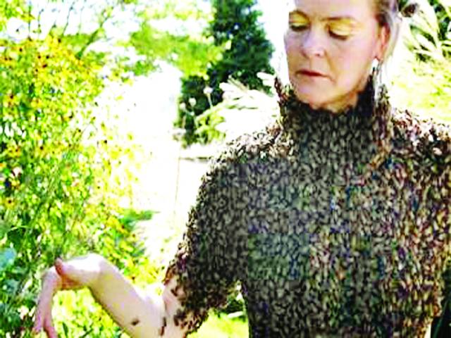 امریکی خاتون کا جسم سوا لاکھ شہد کی مکھیوں کا مسکن