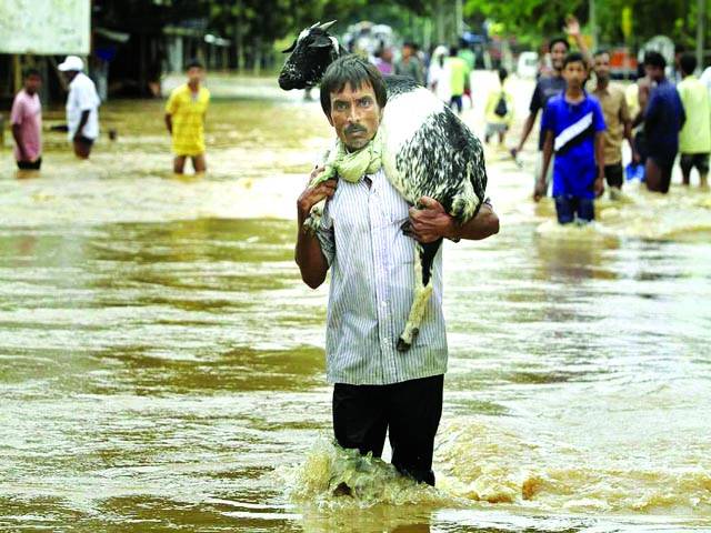 آسام: سیلاب سے متاثرہ ایک شخص اپنی بکری کو کندھے پر بیٹھائے محفوظ مقام پر لیکر جا رہا ہے