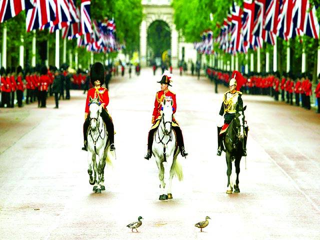 لندن: گھوڑے پر بیٹھے ہوئے فوجی اہلکاروں کے سامنے سے بطخ کا جوڑا گزر رہا ہے