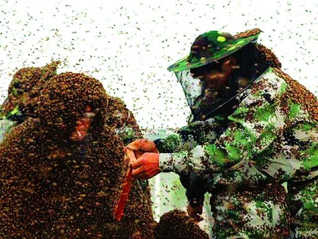  چینی شخص کا انوکھا اقدام،خود کو شہد کی مکھیوں کے انسانی چھتے میں بدل لیا 