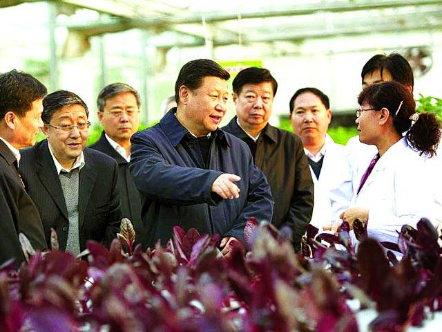  شنگھائی:چینی صدر زی جنگ پنگ دیگر سرکاری آفیشل کے ہمراہ زرعی سائنس اکیڈمی کا دورہ کر رہے ہیں