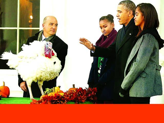  واشنگٹن: وائٹ ہاؤس میں چیئرمین نیشنل ترکی فیڈریشن جان برکل امریکی صدر باراک اوباما اور انکی بیٹیوں کو مرغا دیکھا رہے ہیں