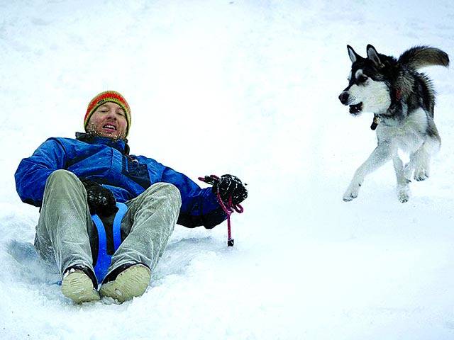  نیویارک: ایک شخص کتے کے ہمراہ برفانی علاقے میں برف سے لطف اندوز ہو رہا ہے