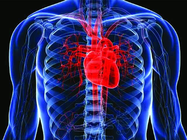 دل کو زندہ رکھنے اور دوا خارج کرنے والے ’’سائبورگ‘‘ پیوند تیار