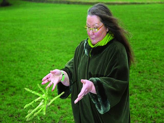  برطانیہ میں سبزیوں کی ذریعے خاتون کی درست پیشگوئیاں