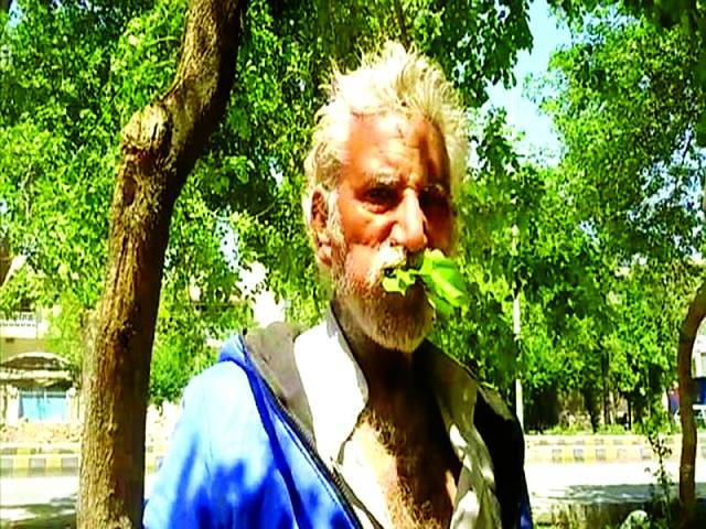 لکڑی اور پتے کھانے والا 50 سالہ پاکستانی